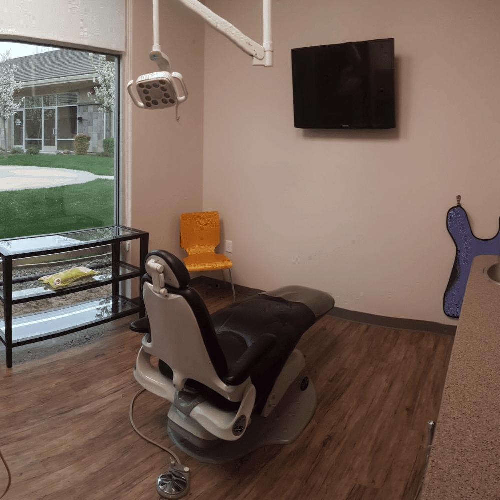 A modern dental exam room with a black dental chair, overhead exam light, wall-mounted TV, glass display case, yellow chair, and a window showing green grass and buildings outside.